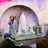 John Frusciante - The Will To Death Artwork