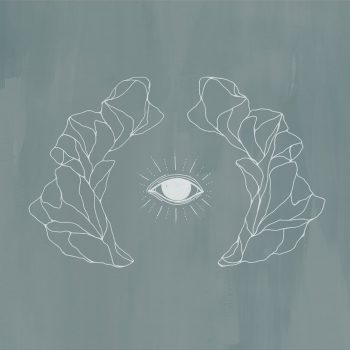 Jose González - Vestiges & Claws Artwork