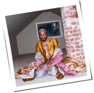 Jpegmafia - All My Heroes Are Cornballs