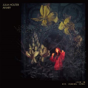 Julia Holter - Aviary Artwork