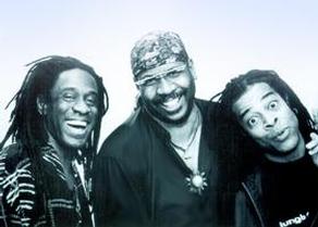 Jungle Funk