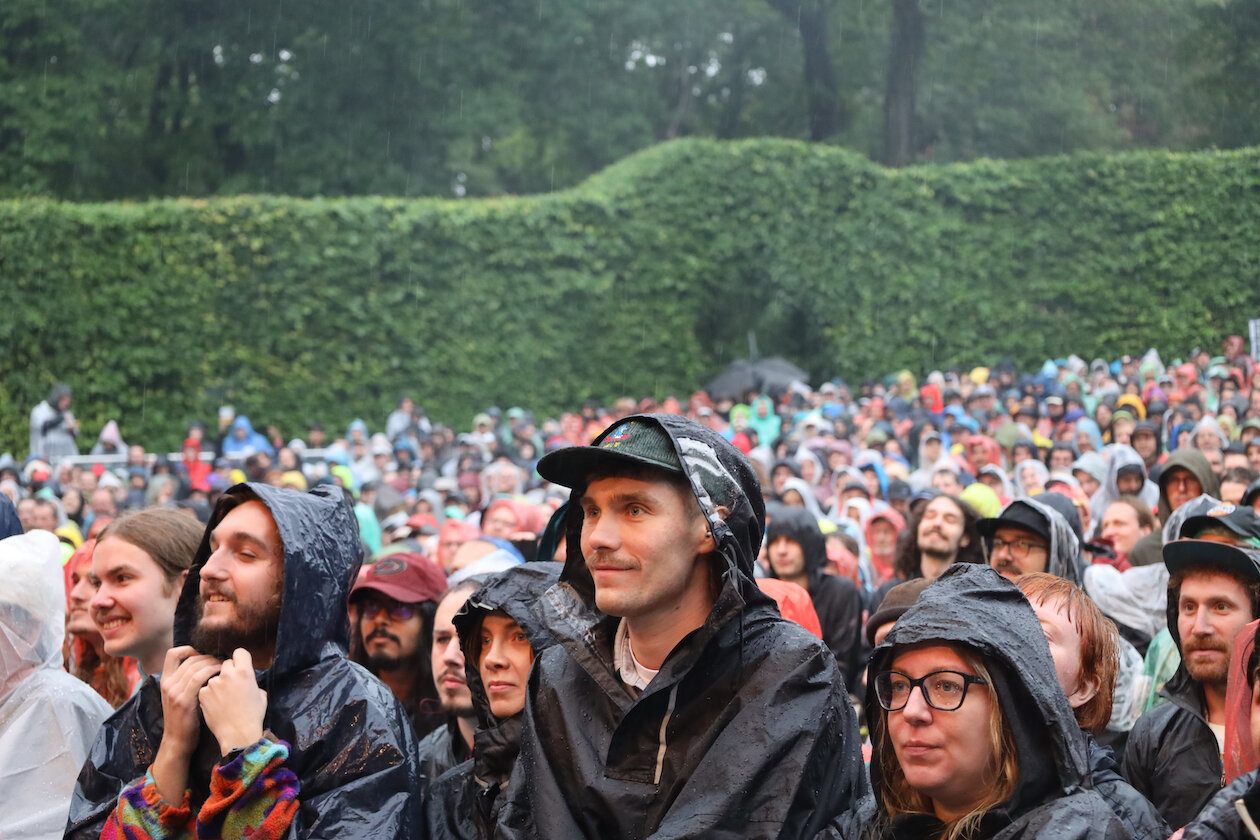 King Gizzard & The Lizard Wizard – Fans.
