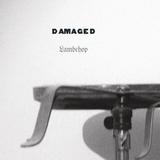 Lambchop - Damaged Artwork