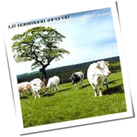 Le Hammond Inferno - My First Political Dance Album