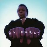 Lee Fields & The Expressions - My World Artwork