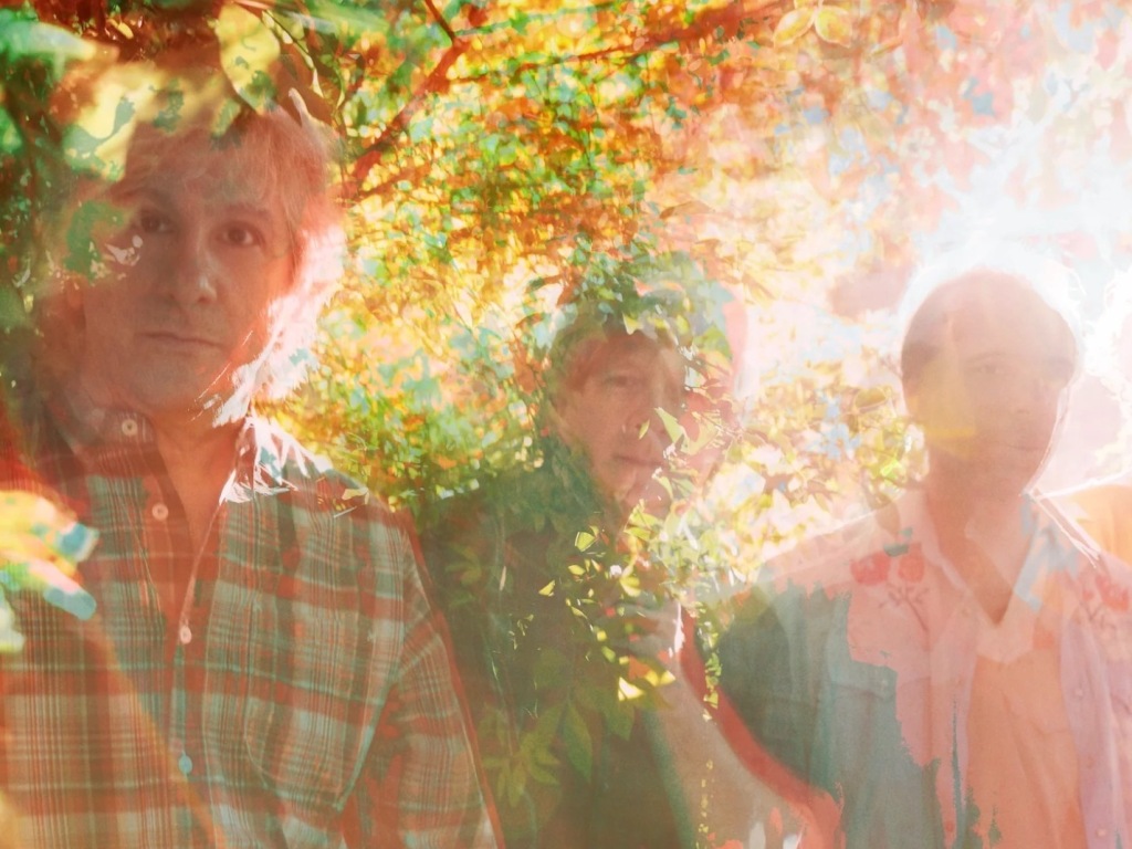Lee Ranaldo
