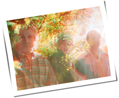 Lee Ranaldo