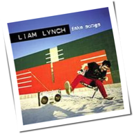Liam Lynch - Fake Songs
