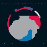 Love Of Diagrams - Mosaic