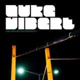 Luke Vibert - Chicago, Detroit, Redruth Artwork