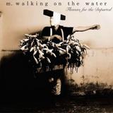 M Walking On The Water - Flowers For The Departed Artwork