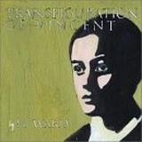 M Ward - Transfiguration Of Vincent Artwork