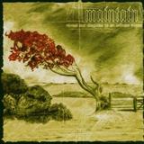 Maintain - Reveal Our Disguise To An Infinite Abyss Artwork