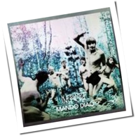 Mando Diao - Infruset