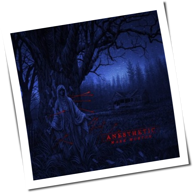 Mark Morton - Anesthetic