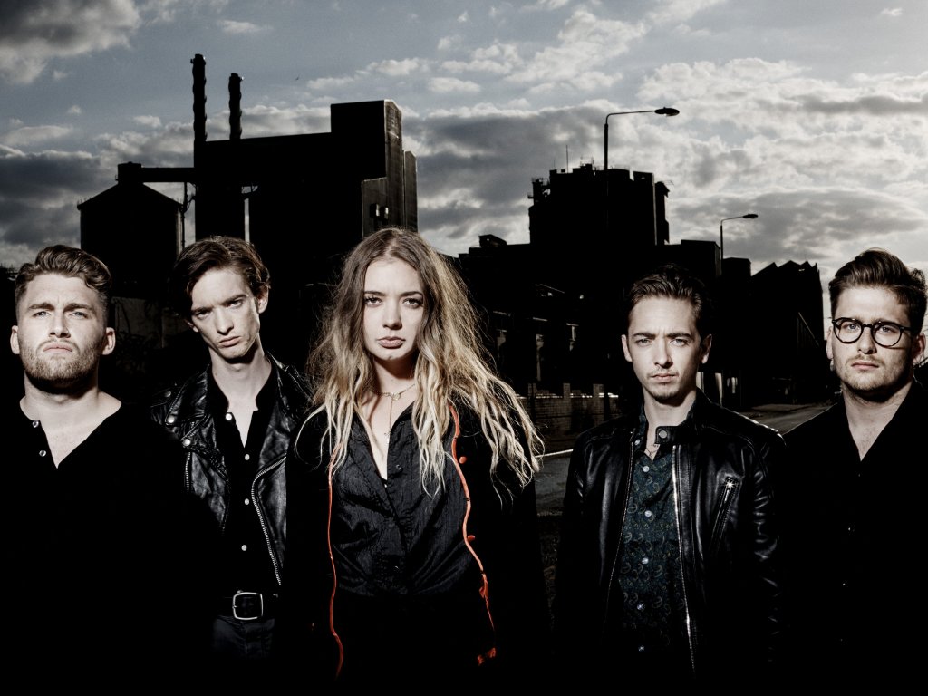 Marmozets