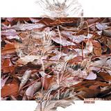 Marsen Jules - Herbstlaub Artwork