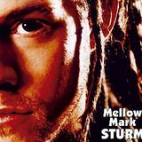 Mellow Mark - Sturm Artwork