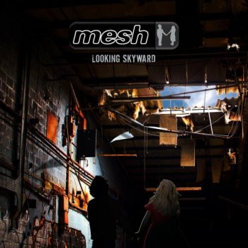 Mesh - Looking Skyward Artwork