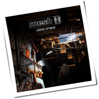 Mesh - Looking Skyward