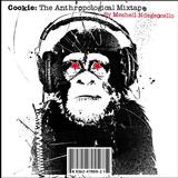 Meshell Ndegeocello - Cookie: The Anthropological Mixtape Artwork