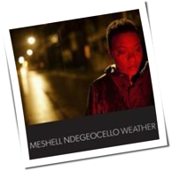 Meshell Ndegeocello - Weather
