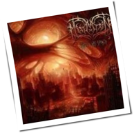 Miseration - Tragedy Has Spoken