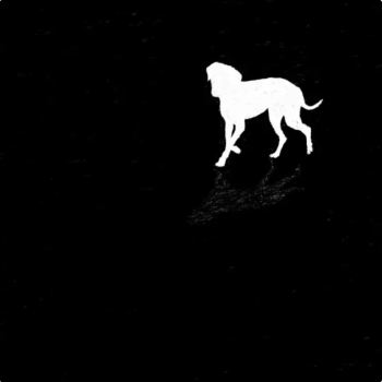 Moé - Geschichten Die Wir Niemandem Erzählen