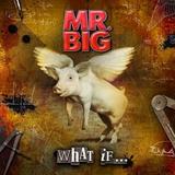 Mr. Big - What If ... Artwork