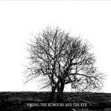 Mr. David Viner - Among The Rumours And The Rye