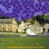 Nathan Fake - Drowning In A Sea Of Love