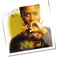 Netsayi - Chimurenga Soul