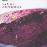 New Flesh - Understanding Artwork