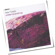 New Flesh - Understanding
