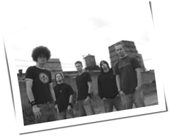 New Noise Crisis
