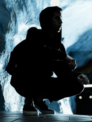 Alan Walker: Die Single