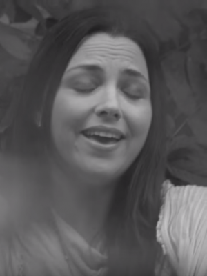 Amy Lee: Led Zep-Cover zu