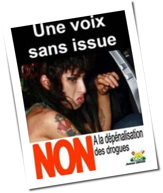 Anti-Drogen-Plakat: SVP missbraucht Amy Winehouse