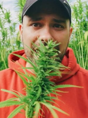 Antilopen Gang: Neues Video