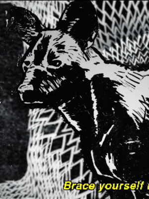 At The Drive-In: Erster neuer Song in 16 Jahren