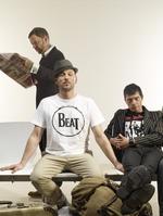 Beatsteaks: Die Single