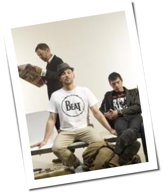 Beatsteaks: Die Single 