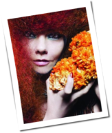 Bj&ouml;rk: Einziges Konzert in Berlin