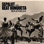 Blumentopf-DJ Sepalot: