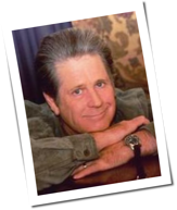 Brian Wilson: Krieg der Str&auml;nde