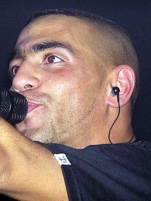 Bushido: Fler muss