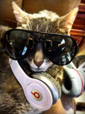 Cashmasters: Die bestbezahlten DJs 2014
