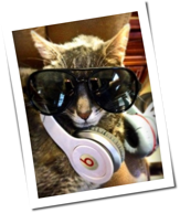 Cashmasters: Die bestbezahlten DJs 2014