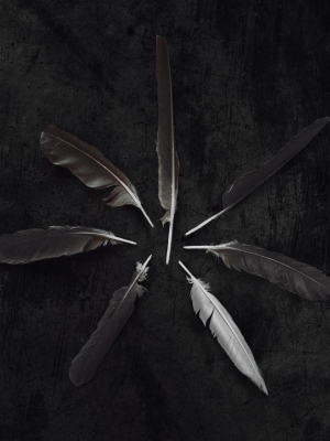 Caspian: Neues Album komplett im Stream