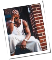 DMX: Anklage wegen Tierqu&auml;lerei&quest;